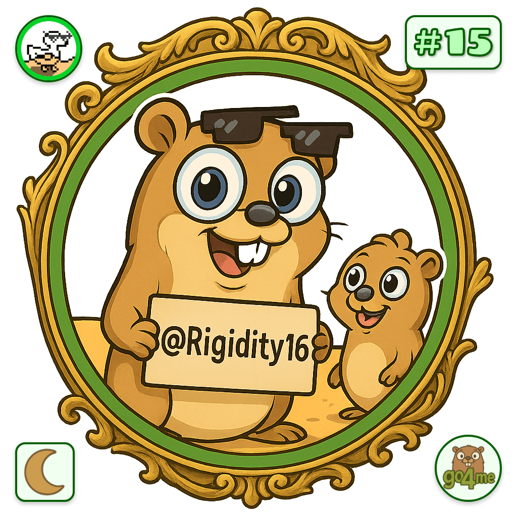 Rigidity16 avatar